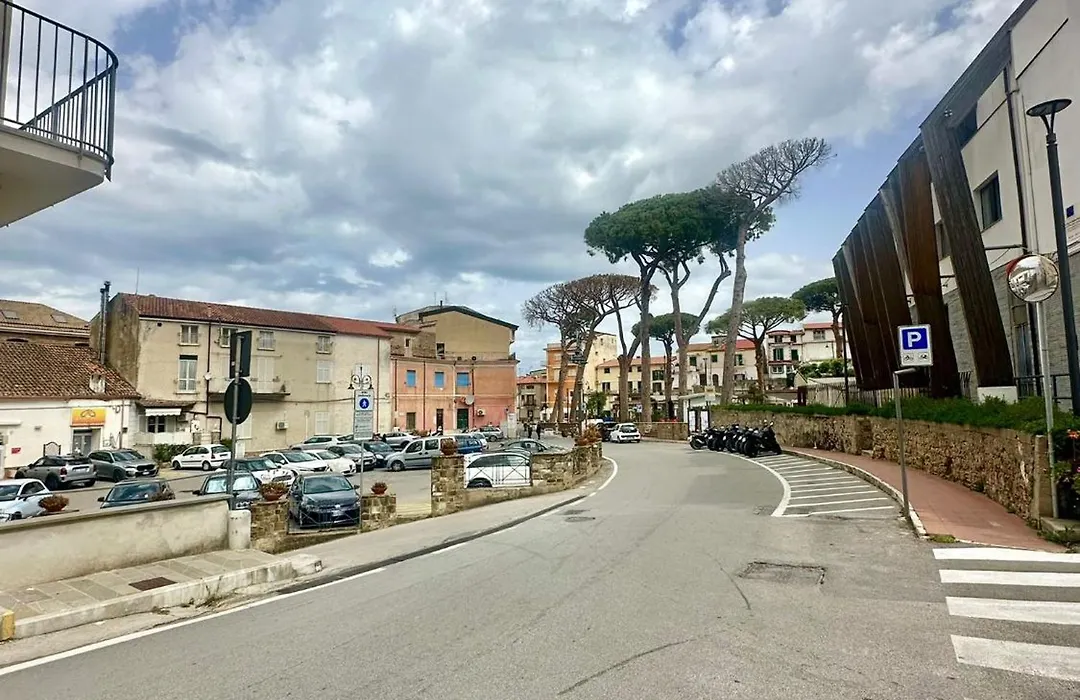 B&B Cellini-1